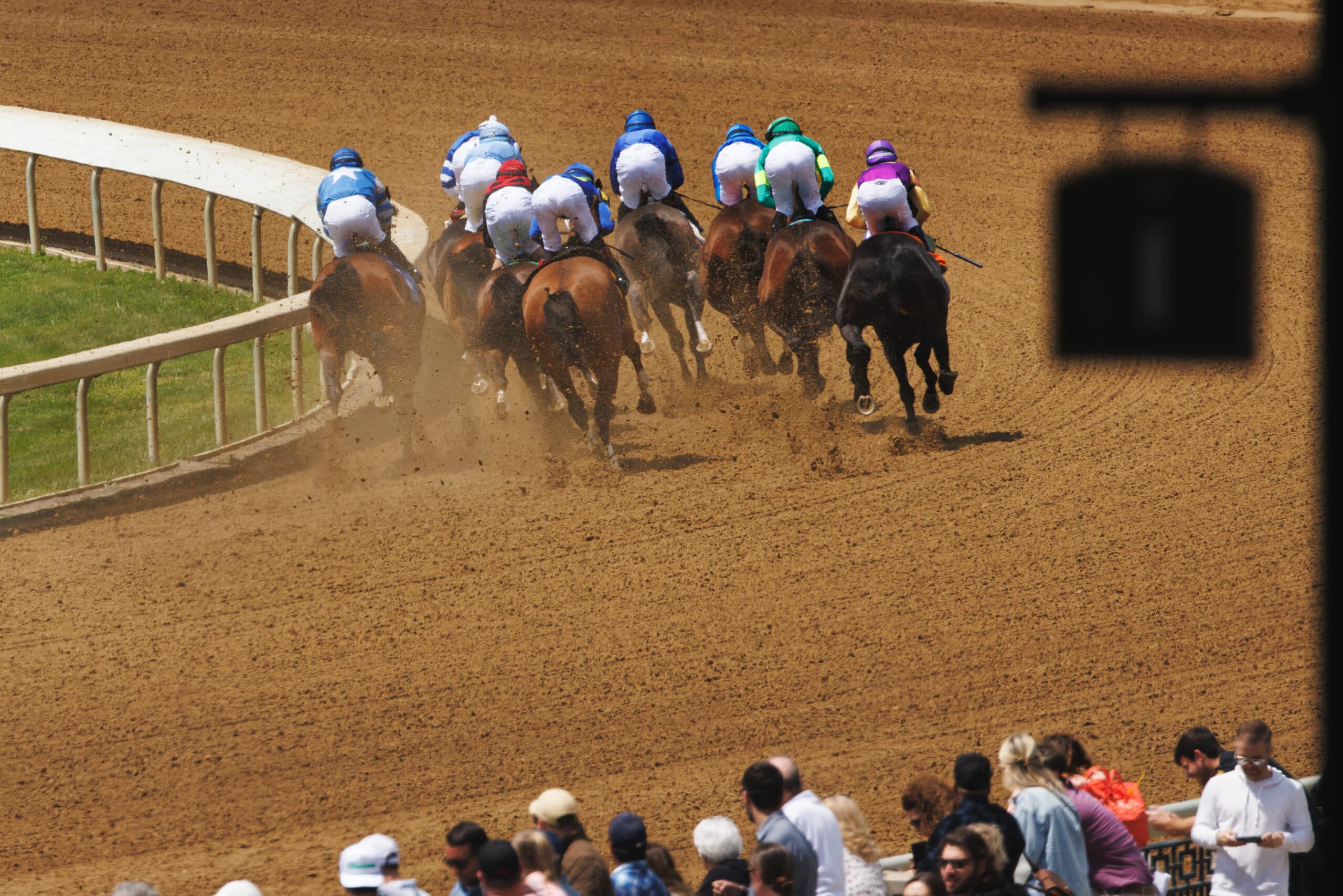 Horseracing Integrity and Safety Authority
