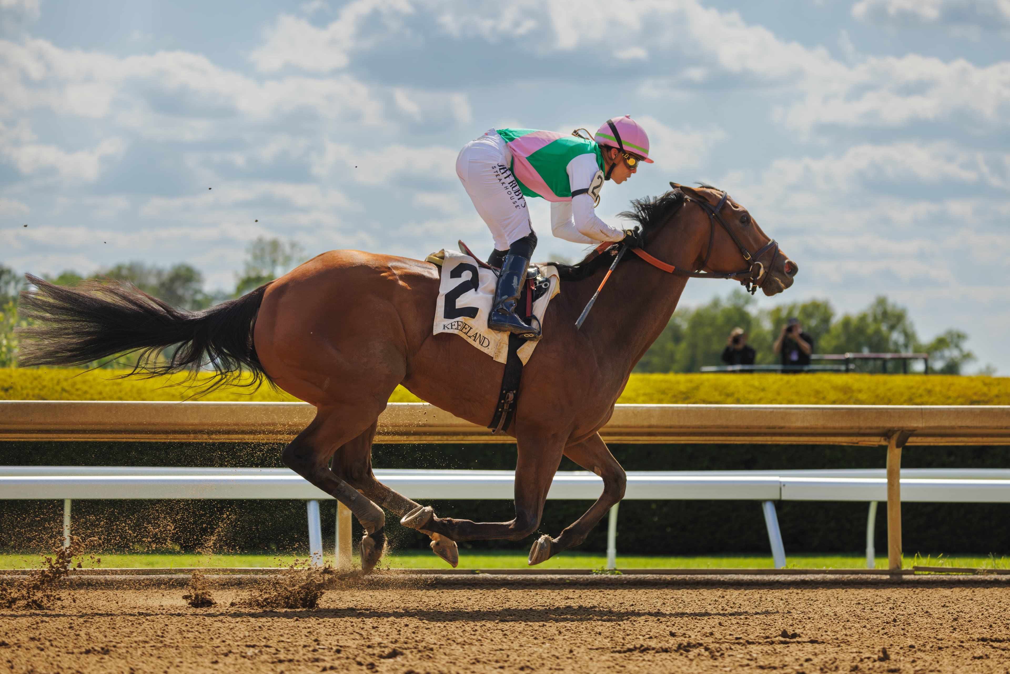 Horseracing Integrity and Safety Authority