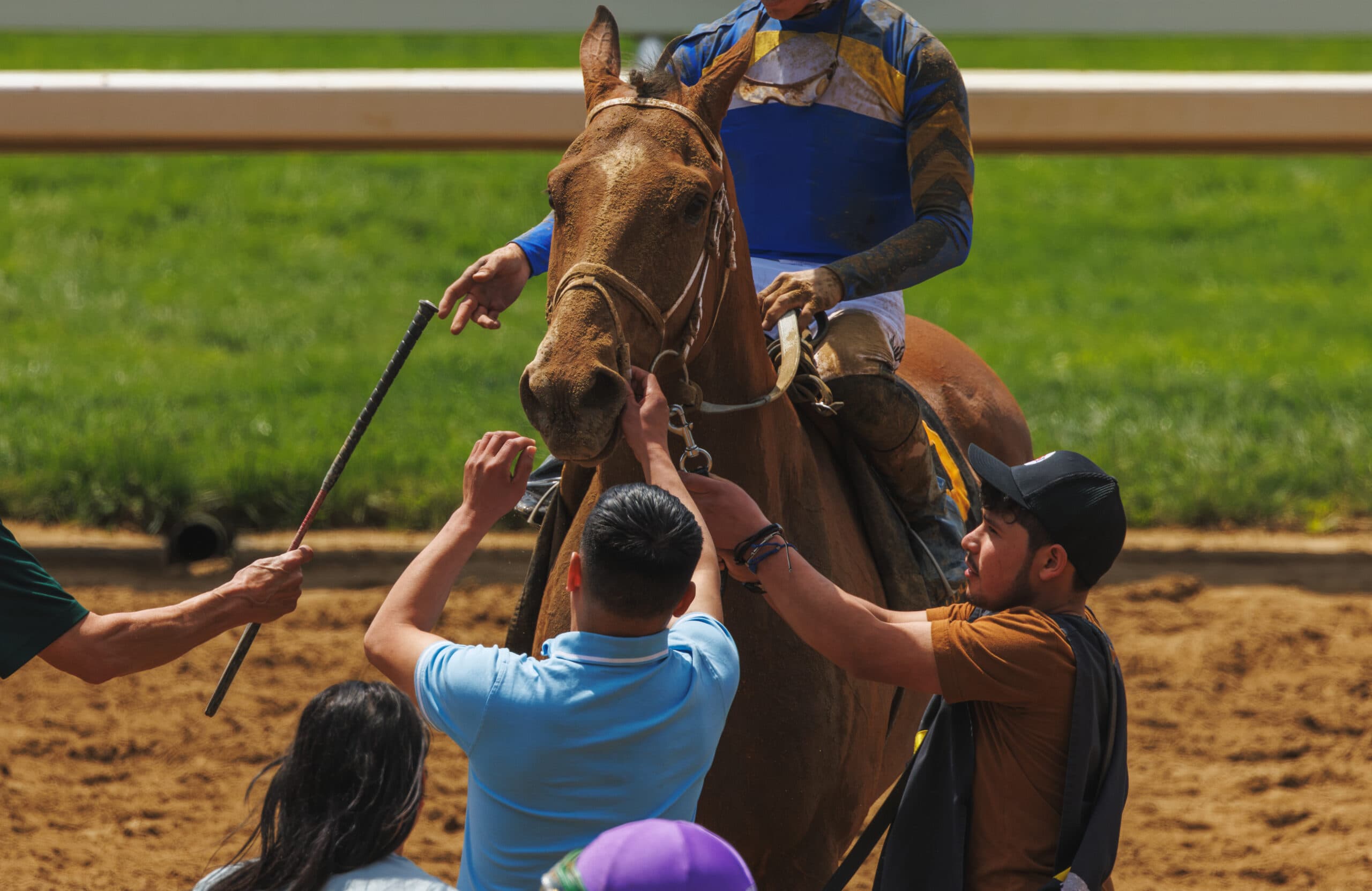 Horseracing Integrity and Safety Authority