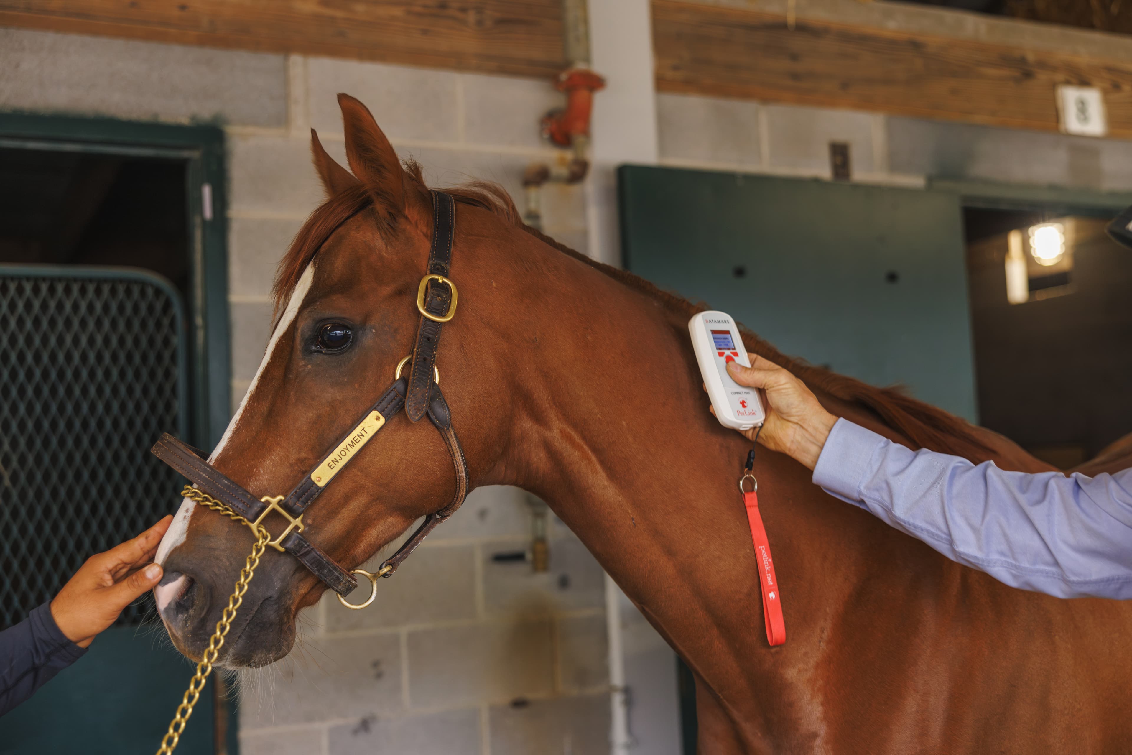 Horseracing Integrity and Safety Authority