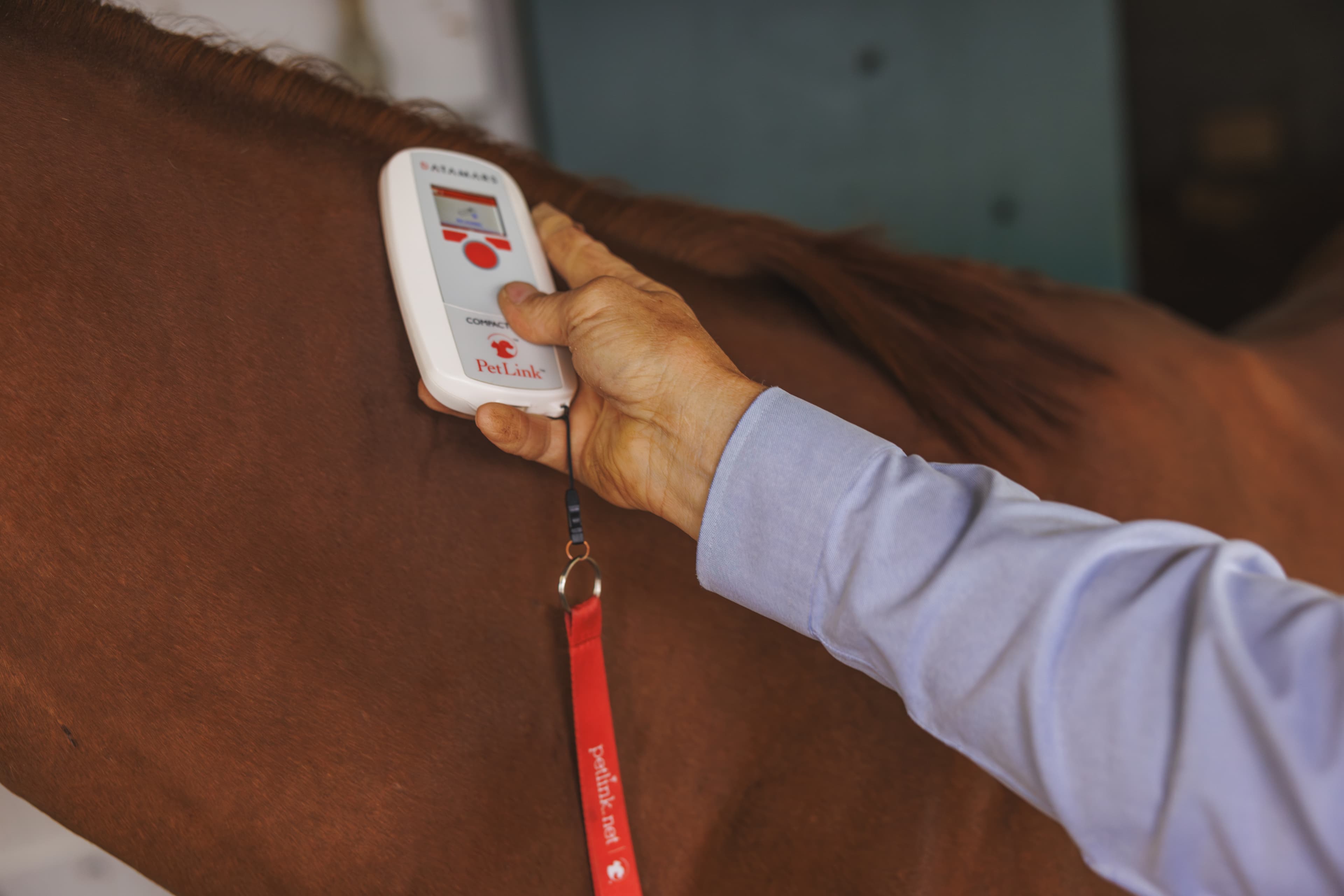 Horseracing Integrity and Safety Authority